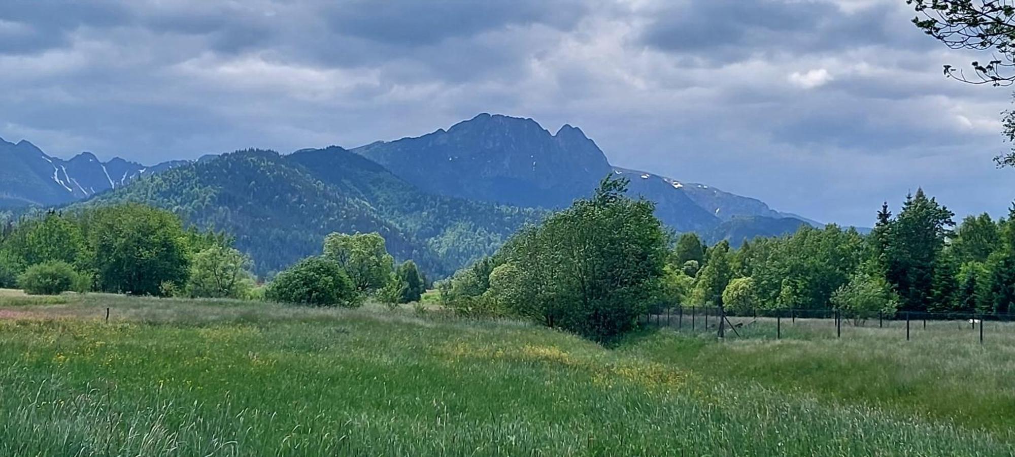 Pasieka - Goralskie Klimaty Zakopane