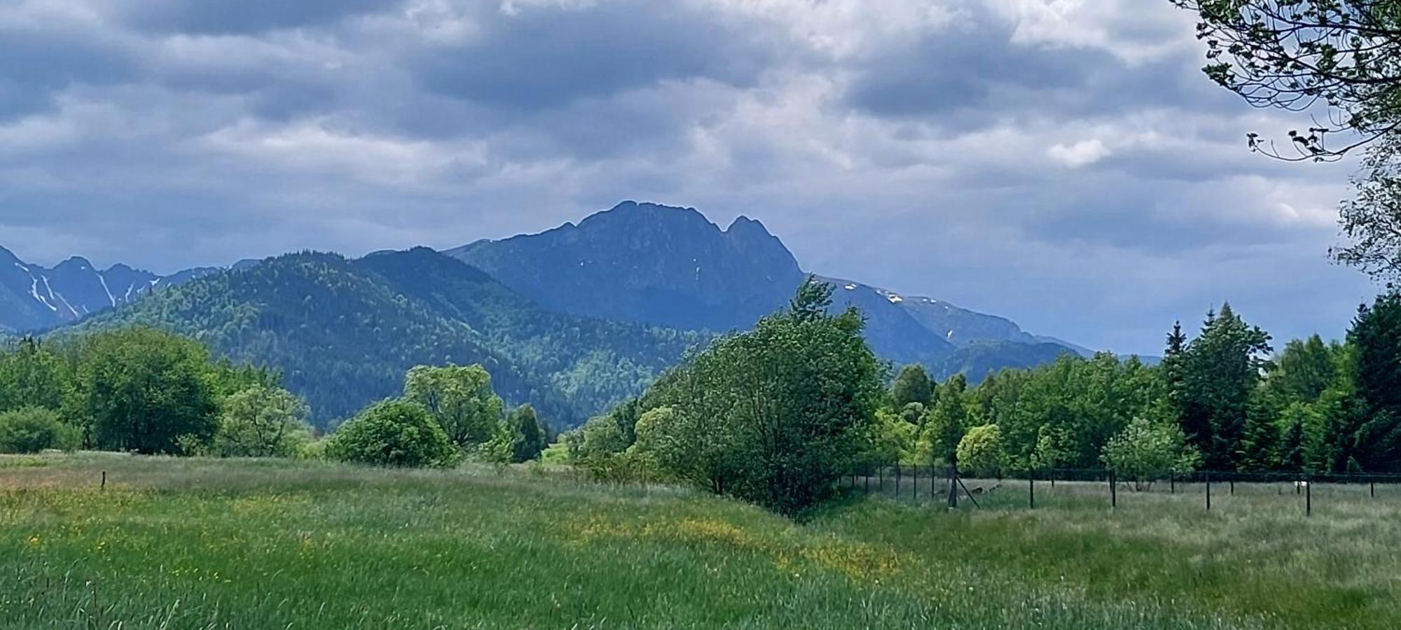 Pasieka - Goralskie Klimaty